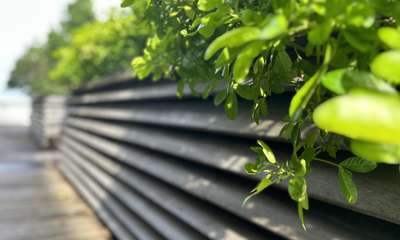 ESG Ratings: The introduction of a new EU framework Image