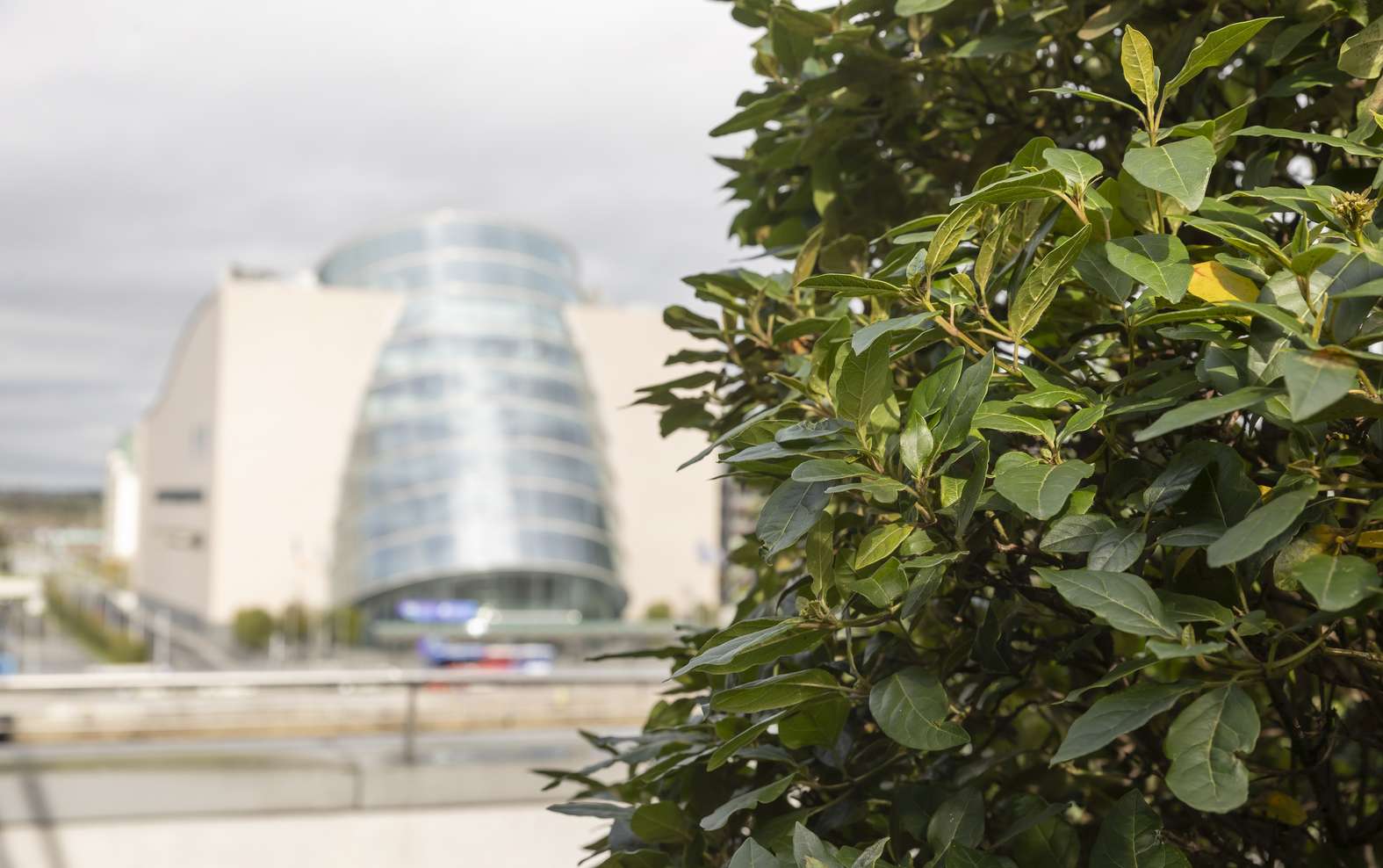 Cillian Bredin named as a Green Ambassador Image