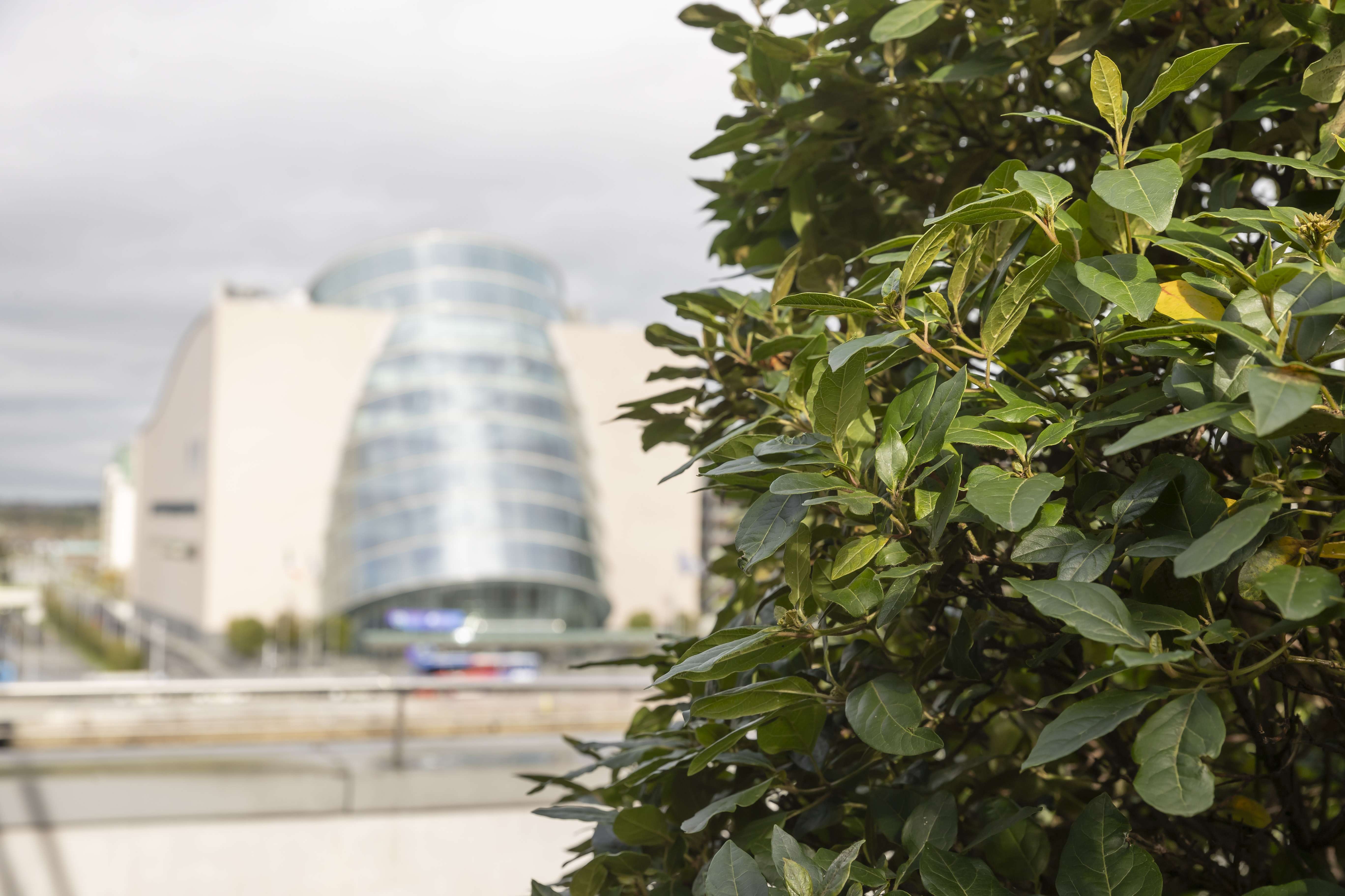 Sustainable Finance Asset Management Commercial Law Firm Dillon